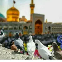 تورزیارتی‌مشهد‌مقدس