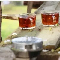 چای سرگل بهاره 1405 املش
