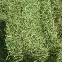 بیده درجه یک