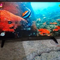 ال ای دی الجی