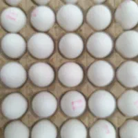تخم مرغ 30عددی