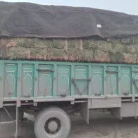 یونجه درجه یک میاندوآب بوکان