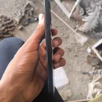 Note 12 نو نو|موبایل|تربت جام, شهید نصرالهی|دیوار