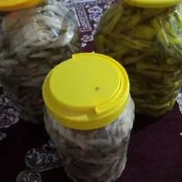ترشی بیلهر