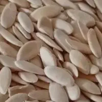 بذرگرگه