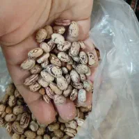 حبوبات قیمت مناسب