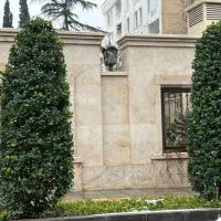 نهال درخت درختچه شمشاددماوندپردیس پایانکار شهرداری