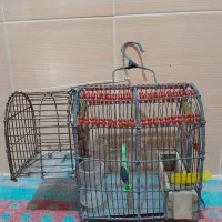 قفس|لوازم جانبی حیوانات|بروجرد, |دیوار