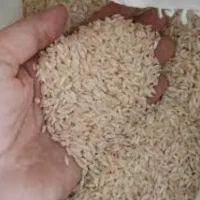 برنج عنبر بو جنوب