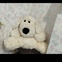 عروسک نمیشه