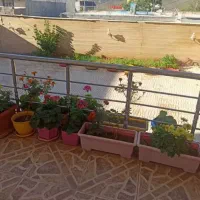 سوئیت-آپارتمان-ویلایی-مرکز-شهر
