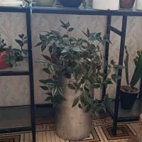 ویترین فلزی