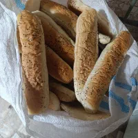 نان خوشک حیوانی