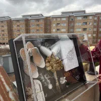 باکس جاودان