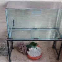 آکواریوم.فیلتر.بخاری.زایشگاه.دماسنج گیاه مصنوعی