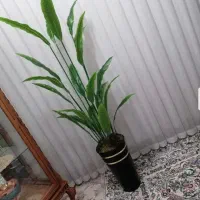 درختچه مصنوعی
