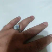 انگشتر شجر تک درخت