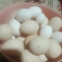 تخم مرغ محلی وگلین قاطی کردم