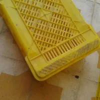 فروش سبد