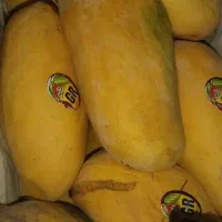 انبه صادراتی  یک یک