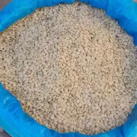 عدس مغان درجه ۱    ۱۷۰