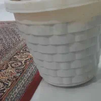 گلدون بسیار بزرگ