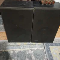 دو عدد باند