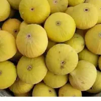 انجیر زرد