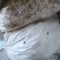 نان خشک تمیز