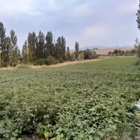 زمین-باغ-کشاورزی