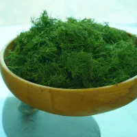 تولیدی وفروشگاه غذایی فرزانه