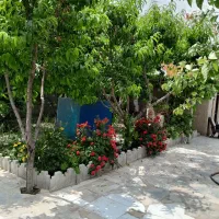 باغ ۵۲۰ متری دور دیوار توس ۷۵،پرکند آباد