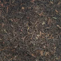 چایی بهاره درجه یک شمالی