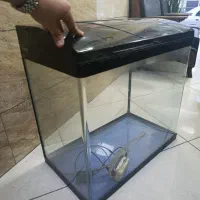 شیشه آکواریوم