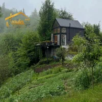 جنگلی-با-شرایط-اقساط12-تا-15-ماهه