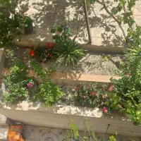 رهن-و-اجاره-ویلایی-سی1