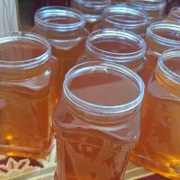 عسل سیا تلو  با عطر و طعم بسیار عالی