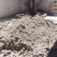 خاک باغچه.شیرین