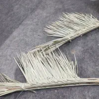 جارو دستی قیمت مفت