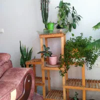 استند گل چوبی