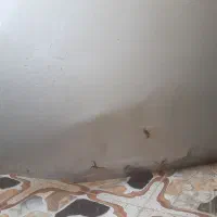 کاپوت پژو ۴۰۵