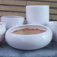 گلدان