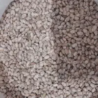لوبیا چیتی ارتشی کیلویی ۲۱۵ هزار تومان