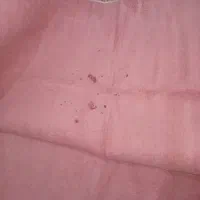 پالاز موکت