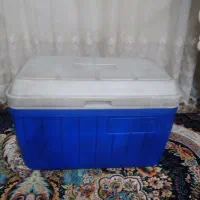 یخچال مسافرتی