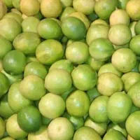 سیم کارت 0937 337 3037
