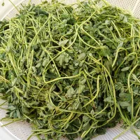 سبزی خورشتی