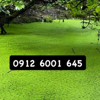 سیم کارت در حد صفر