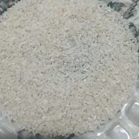 برنج هاشمی
