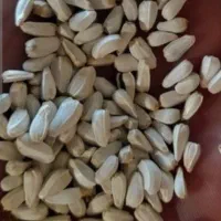 بذر گلرنگ  گل زرد